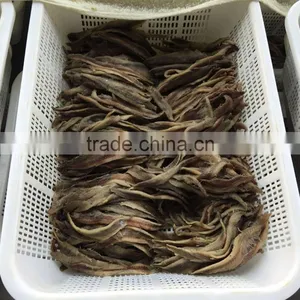 Bbest Quality Frozen Salted Anchovy Fillets thumbnail-4