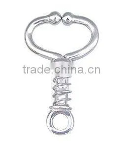 Spring Bull thumbnail-1