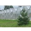 Polycarbonate Hollow Sheet Green House thumbnail-1