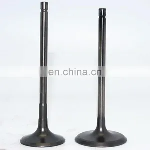 Global Manufacturer Workshop Suppliers Engine Valve For Iveco Daily Citys Bus 3.0 thumbnail-5