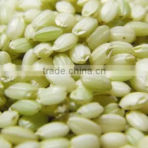 Organic Steamed Green Rice thumbnail-1