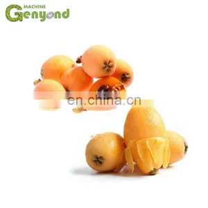 GYC GENYOND Juice Belt Press Machine Price thumbnail-5