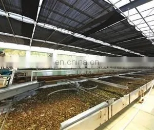Brown Sugar Processing Production Line thumbnail-2