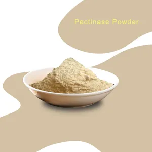 High Activity 30,000 U/g Pectinase Powder Enzyme Preparation Food Additive for Efficient Juice Clarification thumbnail-1