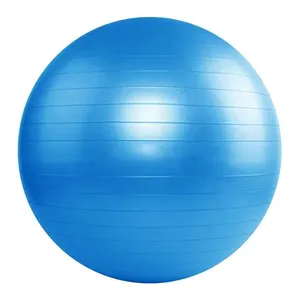Eco-friendly PVC Anti Burst Heavy Duty Stability Fitness Exercise Yoga Gym Ball With Pump thumbnail-3