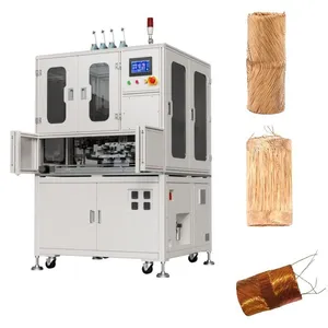 Hollow Cup Motor Coil Fully Automatic Winding Machine | Brushless Coreless Motors Winding Equipment thumbnail-1