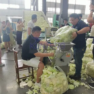 Best Automatic Food Dehydrator Moringa Leaves Kale Cabbage Dryer Vegetable Cleaning and Drying Production Line Equipment EPC thumbnail-2