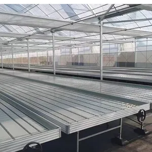 Tidal Seedbed Greenhouse Hydroponic Growing Bench For Plant Nursery thumbnail-5