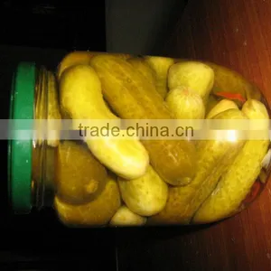 6-9cm PICKLED CUCUMBER From ORIENT VIETNAM COMPANY thumbnail-1