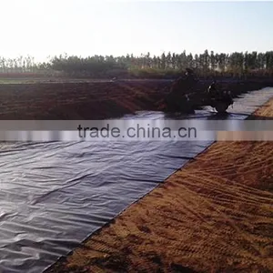 HDPE Geomembrane 2.0mm for Landfill Projects thumbnail-6