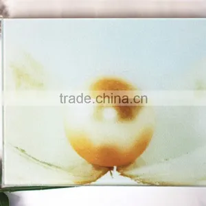 2015 New Sell Well Clear Glass Plate Product thumbnail-6