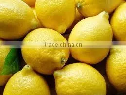 Adalia Lemon thumbnail-1