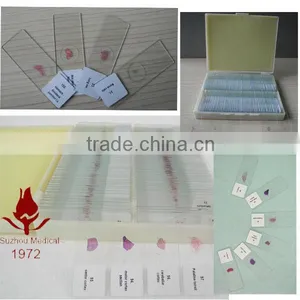 Hot Sale Prepared Histology Slides thumbnail-2