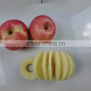 Made in China Hand Operated 3 in 1 Manual Metal Apple Peeler Slicer Corer thumbnail-4