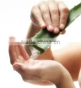 Aloe Vera Gel Diced thumbnail-1