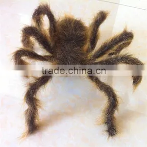 The Latest Terror Spider for Holloween thumbnail-4