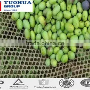 Olive Tree Nets in Harvesting thumbnail-6