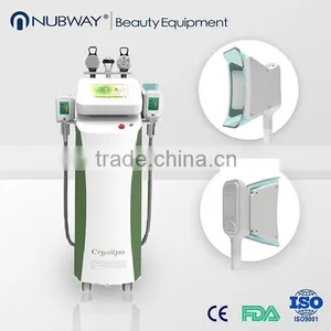 Loss Weight Beauty Salon Equipment Vacuum Cryolipolysis Fat Removal Machine For Beauty Salon Body Contouring thumbnail-1