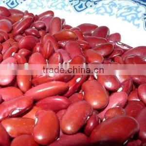 Dark Red Kidney Bean thumbnail-1