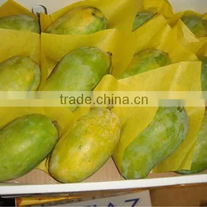 Honey Chaunsa Mango thumbnail-1