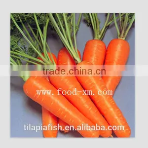 Frozen Carrot Vegetable thumbnail-1