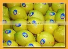Bulk Quantity Egypt Lemon thumbnail-1