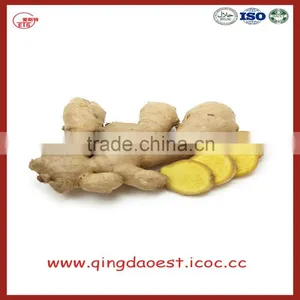 Chinese Fresh Ginger thumbnail-1