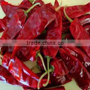 Red Chili thumbnail-1