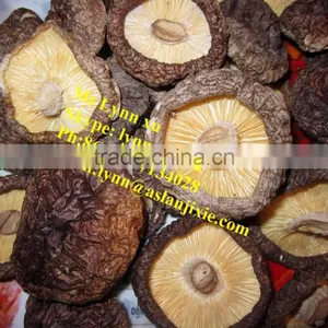 High Quality Mushroom /dry Shiitake Mushroom thumbnail-3