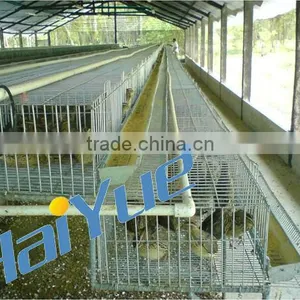 Quail Cage With Automatic Drinking System thumbnail-1