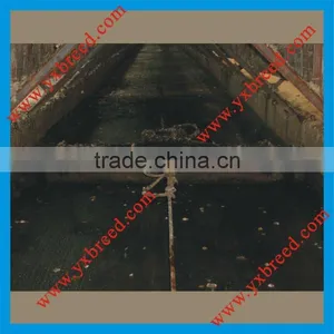 Automatic Manure Clean thumbnail-1