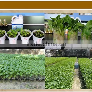 Root Organic Microbial Fertilizer thumbnail-4