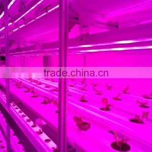 Manufacturing Plant thumbnail-2