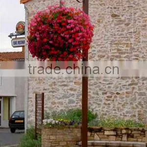 SOL New Design Hanging Flower Vase Plant Pots Hanging Hydroponics Planter thumbnail-4