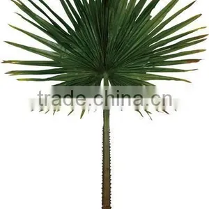 Hot Sale 2.4 Meter Coconut Trees Leaves, Artificial Coconut Trees Leaves thumbnail-3