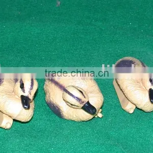 Plastic Duck thumbnail-1