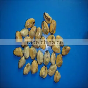 Freshwater Mussel Meat(200-300) thumbnail-1