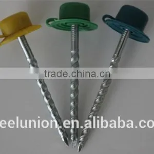 Twist Shank Roofing Nails With Plastic Cap thumbnail-2