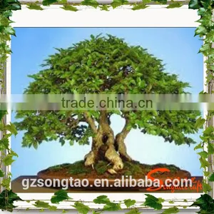 Grotesque or Fantastic in Shape or Appearance , Artificial Pot Manufacturing Plants for Wholesale thumbnail-3