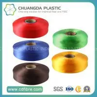 High Tenacity FDY PP Multifilament Yarn in China thumbnail-1