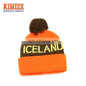 2017 Custom Pom Pom Beanie thumbnail-1