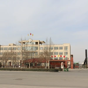 Tianjinsheng Non-woven Technology Co., Ltd. company overview - view 1 thumbnail