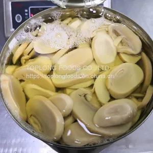 Canned Mushrooms Slices thumbnail-3