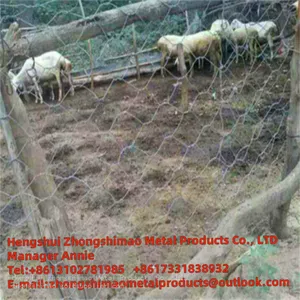 Hexagonal Wire Mesh/chicken Wire Mesh/ thumbnail-1