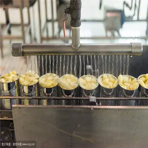 Factory Price Pineapple in Syrup Production Line thumbnail-2