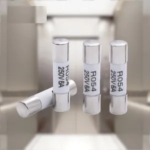 Ceramic Fuse 5x25mm 6x30mm 2A-16A (R055 R057 R054 R058) Standard Compliant thumbnail-1