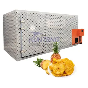 Food Grade Fruit Drying Oven Dryer Pineapple Drying Machine Pineapple Dehydration Production Line EPC thumbnail-1