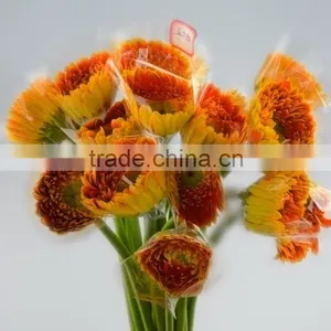 Newest Golden Sun Cute Gerbera Flower thumbnail-6