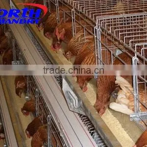 Poultry Farm Equipment Chicken Pan Feeders,poultry Pan Feeding System for Sale thumbnail-4