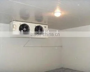 PU Sandwich Panel Fruits/vegetables Cold Room Storage thumbnail-3
